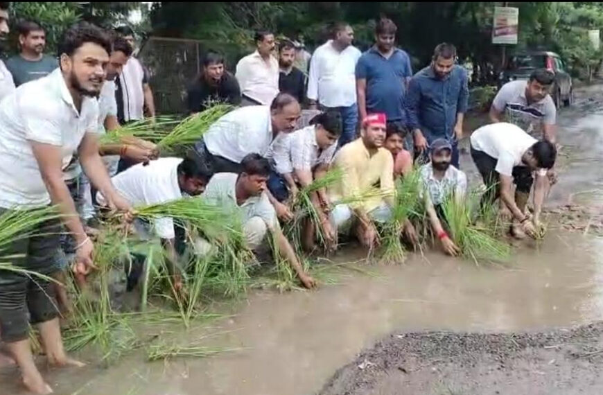 सड़क पर बने गड्ढों में सपाइयों ने रोपी धान की पौध