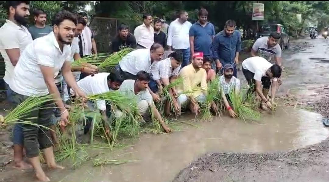 सड़क पर बने गड्ढों में सपाइयों ने रोपी धान की पौध