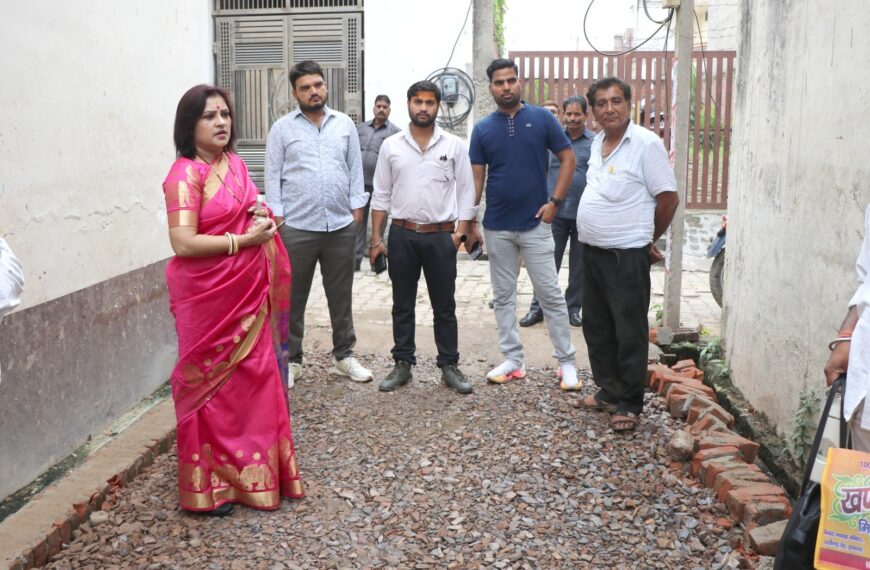 पालिका अध्यक्ष ने सीसी रोड निर्माण कार्य का हलिया जायजा