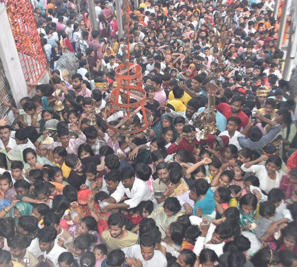 शारदीय नवरात्रि की नवमी पर घर-घर हुआ कन्या…