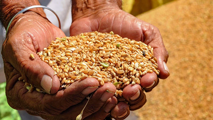 ऊंचाहार तहसील में खाद्य विभाग की मनमानी, कई ग्रामीणों को नहीं मिला राशन