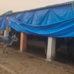 गौशालाओं में प्रशासन ने किये पुख्ता इंतजाम