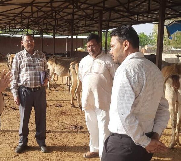 गौशालाओं में गौवंशों के भरण-पोषण के लिए किया&hellip;