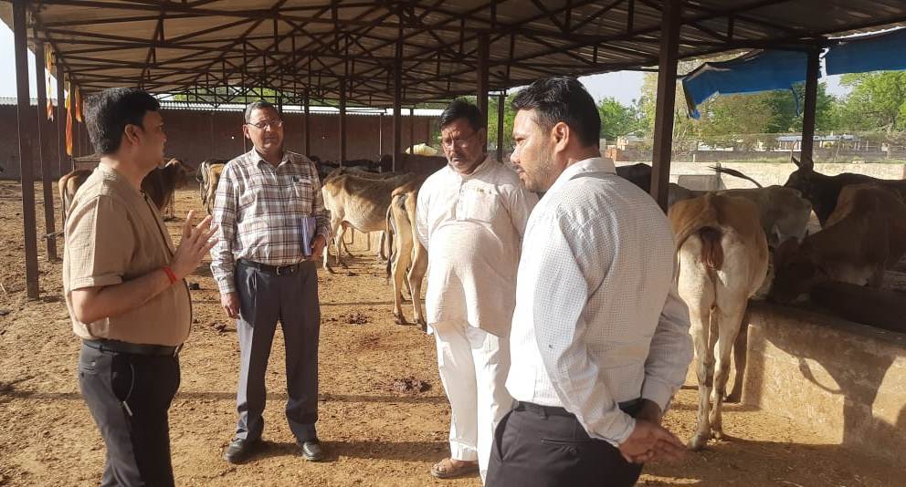 गौशालाओं में गौवंशों के भरण-पोषण के लिए किया औचक निरीक्षण