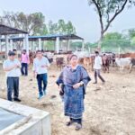 सीडीओ ने गौ संरक्षण केंद्र का किया निरीक्षण