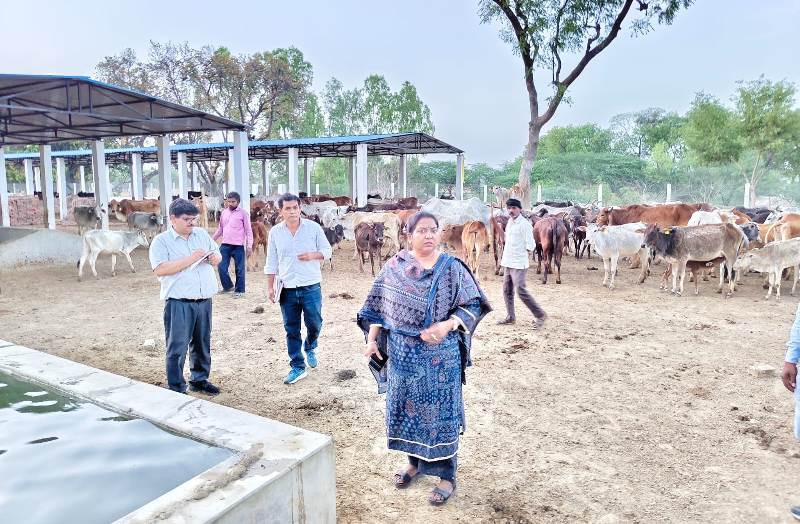 सीडीओ ने गौ संरक्षण केंद्र का किया निरीक्षण