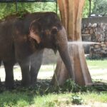 उत्तर और मध्य भारत में भीषण गर्मी का कहर, कई राज्यों में हीटवेव अलर्ट