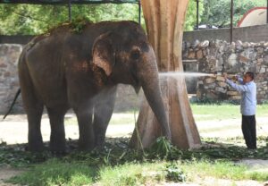 उत्तर और मध्य भारत में भीषण गर्मी का&hellip;