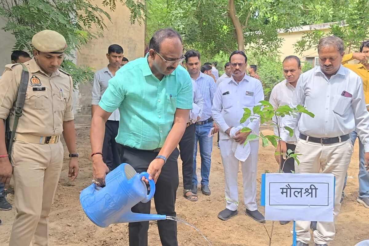 एक पेड़ मां के नाम लगाकर दिया पर्यावरण संरक्षण का संदेश