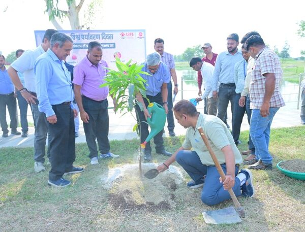 आरेडिका में पर्यावरण पखवाड़े का सफल आयोजन, पर्यावरण…