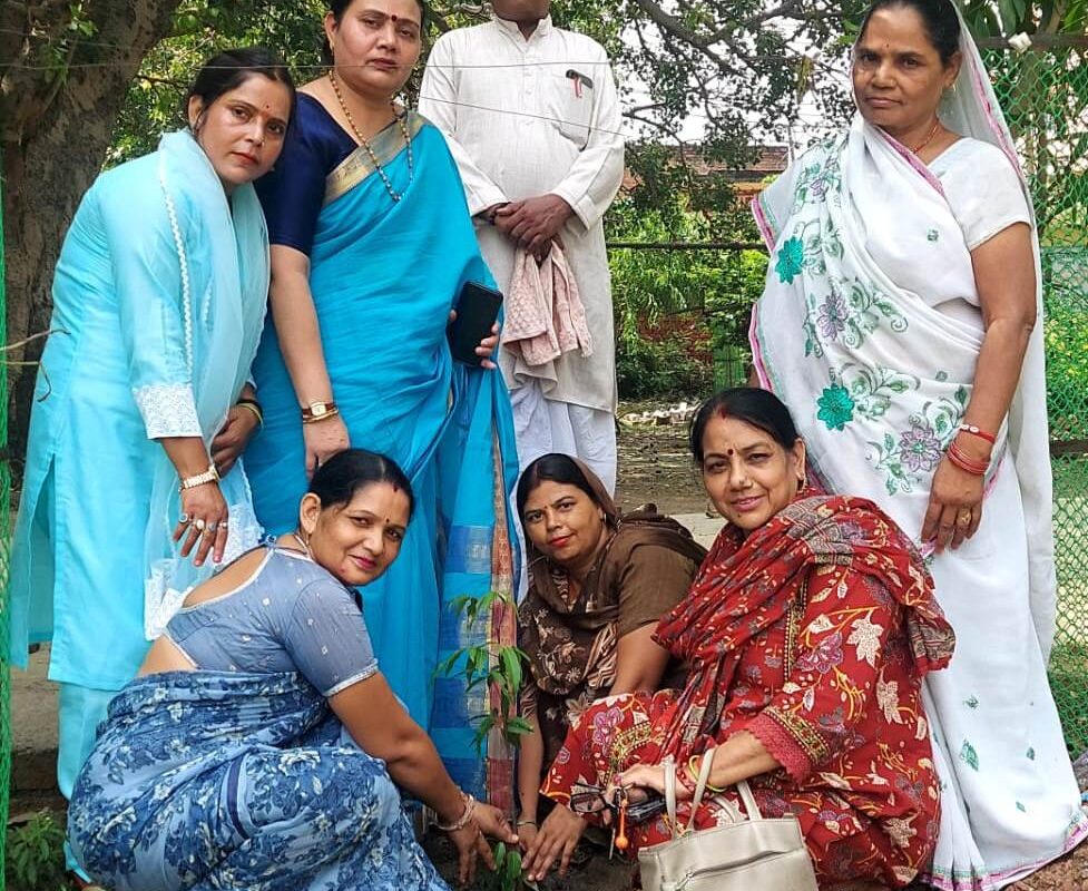 सरोजिनी नायडू स्कूल में तीन दर्जन पौधे रोपे गए