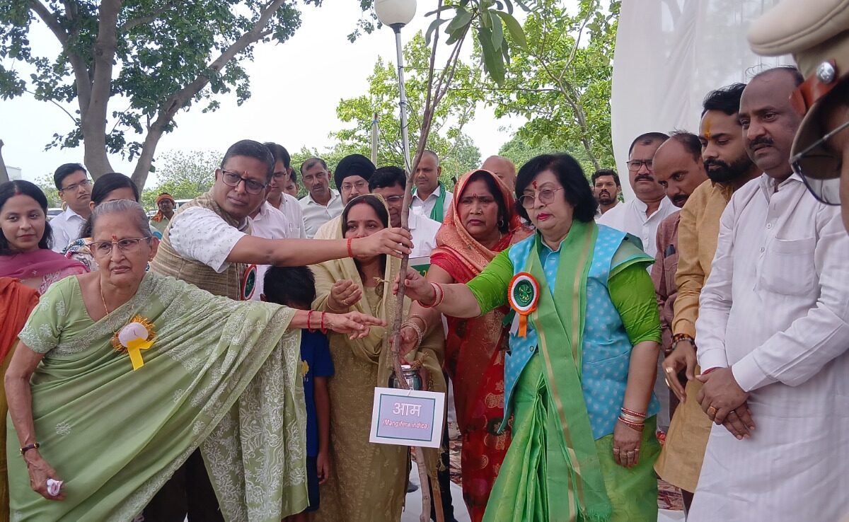 राज्यमंत्री व जिलाधिकारी ने केंद्रीय विद्यालय नबीपुर में किया पौधरोपण