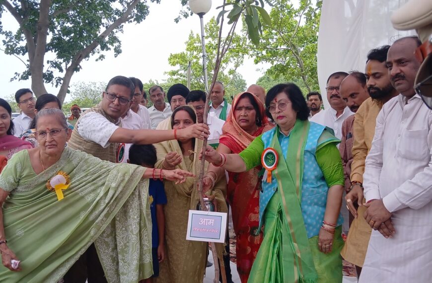राज्यमंत्री व जिलाधिकारी ने केंद्रीय विद्यालय नबीपुर में किया पौधरोपण