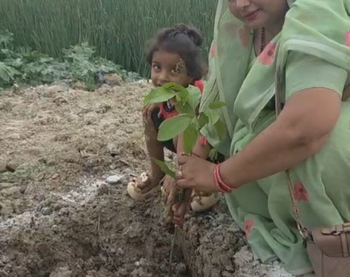 पौधों से ही जुड़ी है जीवन की डोर : ममता जायसवाल