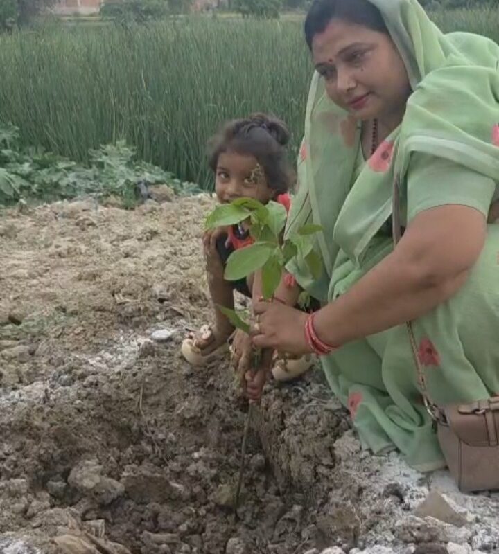 पौधों से ही जुड़ी है जीवन की डोर : ममता जायसवाल